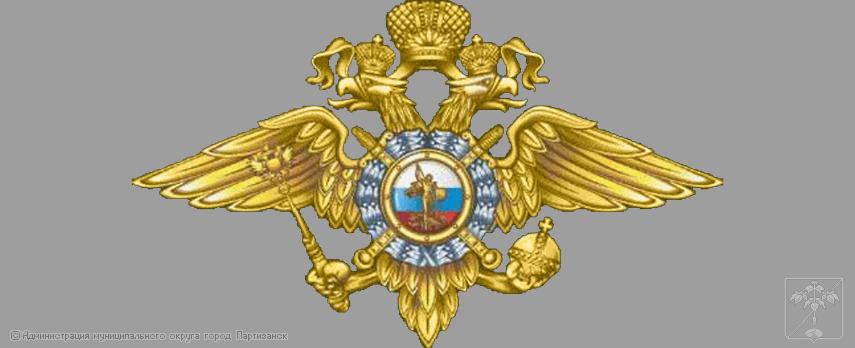 Отдел Министерства внутренних дел РФ по г. Партизанску