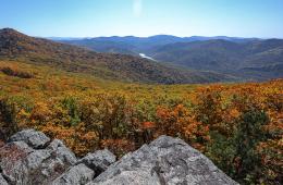 07.11.2025 В конкурсе видео-эссе «Мой Дальний» юные приморцы могут рассказать об уникальности нашего края | Администрация муниципального округа город Партизанск Приморского края Официальный сайт