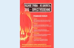 11.03.2022 К чему приводят лесные пожары  | Администрация муниципального округа город Партизанск Приморского края Официальный сайт