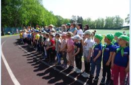 19.05.2022 Стартовал  фестиваль «Вперед ФСК ГТО» | Администрация муниципального округа город Партизанск Приморского края Официальный сайт
