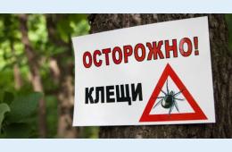 24.03.2022 Осторожно: клещи | Администрация муниципального округа город Партизанск Приморского края Официальный сайт