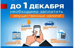 19.11.2025 1 декабря наступает срок уплаты имущественных налогов за 2024 год | Администрация муниципального округа город Партизанск Приморского края Официальный сайт