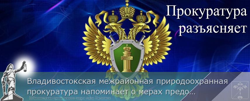 Владивостокская межрайонная природоохранная прокуратура напоминает о мерах предосторожности при встрече с дикими животными | Администрация муниципального округа город Партизанск Приморского края Официальный сайт Владивостокская межрайонная природоохранная прокуратура напоминает о мерах предосторожности при встрече с дикими животными | Администрация муниципального округа город Партизанск Приморского края Официальный сайт