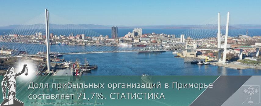Доля прибыльных организаций в Приморье составляет 71,7%. СТАТИСТИКА | Администрация муниципального округа город Партизанск Приморского края Официальный сайт Доля прибыльных организаций в Приморье составляет 71,7%. СТАТИСТИКА | Администрация муниципального округа город Партизанск Приморского края Официальный сайт