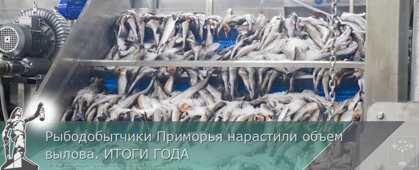 Рыбодобытчики Приморья нарастили объем вылова. ИТОГИ ГОДА | Администрация муниципального округа город Партизанск Приморского края Официальный сайт