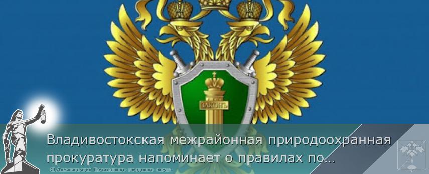 Владивостокская межрайонная природоохранная прокуратура напоминает о правилах пожарной безопасности в лесу