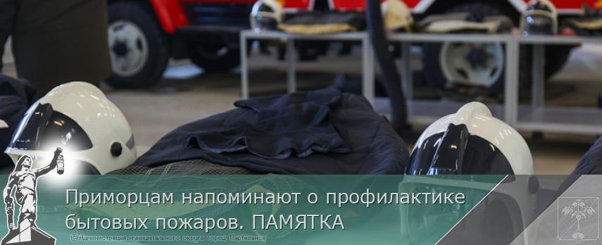 Приморцам напоминают о профилактике бытовых пожаров. ПАМЯТКА  | Администрация муниципального округа город Партизанск Приморского края Официальный сайт