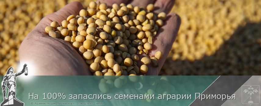 На 100% запаслись семенами аграрии Приморья | Администрация муниципального округа город Партизанск Приморского края Официальный сайт На 100% запаслись семенами аграрии Приморья | Администрация муниципального округа город Партизанск Приморского края Официальный сайт