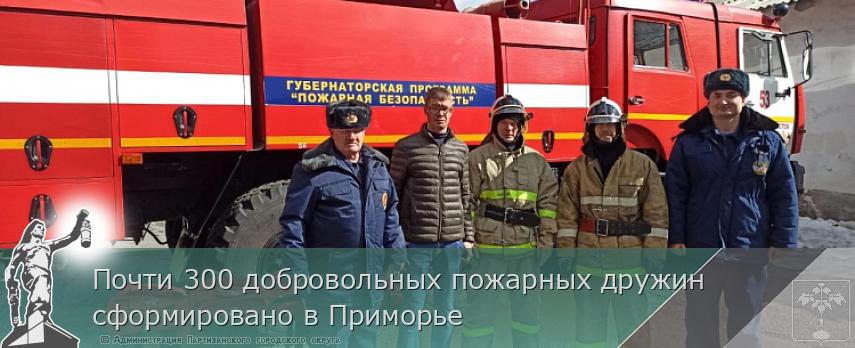 Почти 300 добровольных пожарных дружин сформировано в Приморье