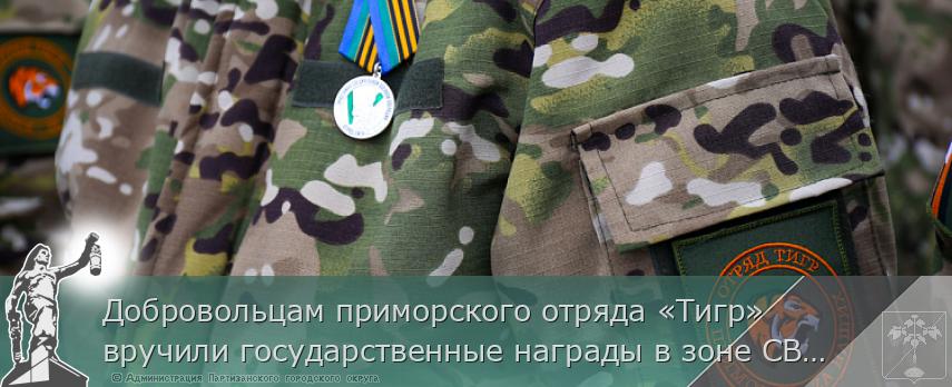 Добровольцам приморского отряда «Тигр» вручили государственные награды в зоне СВО | Администрация муниципального округа город Партизанск Приморского края Официальный сайт