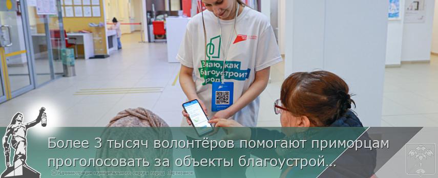 Более 3 тысяч волонтёров помогают приморцам проголосовать за объекты благоустройства | Администрация муниципального округа город Партизанск Приморского края Официальный сайт Более 3 тысяч волонтёров помогают приморцам проголосовать за объекты благоустройства | Администрация муниципального округа город Партизанск Приморского края Официальный сайт