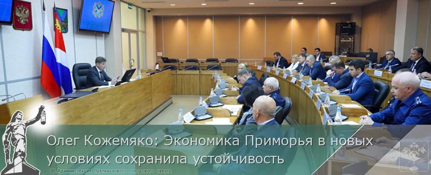 Олег Кожемяко: Экономика Приморья в новых условиях сохранила устойчивость | Администрация муниципального округа город Партизанск Приморского края Официальный сайт Олег Кожемяко: Экономика Приморья в новых условиях сохранила устойчивость | Администрация муниципального округа город Партизанск Приморского края Официальный сайт