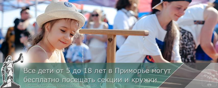 Все дети от 5 до 18 лет в Приморье могут бесплатно посещать секции и кружки | Администрация муниципального округа город Партизанск Приморского края Официальный сайт
