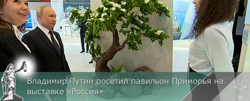 Владимир Путин посетил павильон Приморья на выставке «Россия» | Администрация муниципального округа город Партизанск Приморского края Официальный сайт