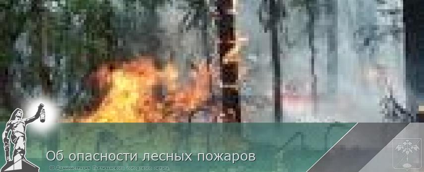 Об опасности лесных пожаров | Администрация муниципального округа город Партизанск Приморского края Официальный сайт Об опасности лесных пожаров | Администрация муниципального округа город Партизанск Приморского края Официальный сайт