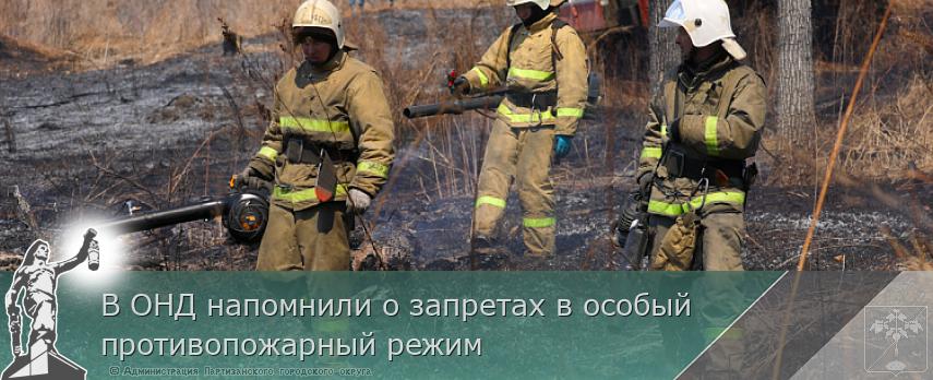 В ОНД напомнили о запретах в особый противопожарный режим | Администрация муниципального округа город Партизанск Приморского края Официальный сайт В ОНД напомнили о запретах в особый противопожарный режим | Администрация муниципального округа город Партизанск Приморского края Официальный сайт