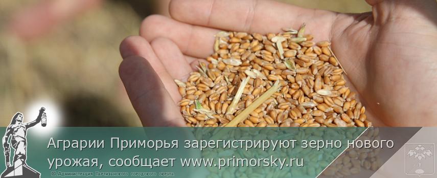 Аграрии Приморья зарегистрируют зерно нового урожая, сообщает www.primorsky.ru | Администрация муниципального округа город Партизанск Приморского края Официальный сайт Аграрии Приморья зарегистрируют зерно нового урожая, сообщает www.primorsky.ru | Администрация муниципального округа город Партизанск Приморского края Официальный сайт