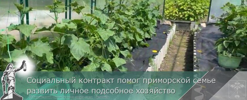Социальный контракт помог приморской семье развить личное подсобное хозяйство | Администрация муниципального округа город Партизанск Приморского края Официальный сайт