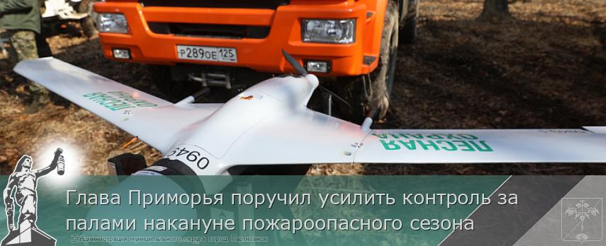 Глава Приморья поручил усилить контроль за палами накануне пожароопасного сезона | Администрация муниципального округа город Партизанск Приморского края Официальный сайт