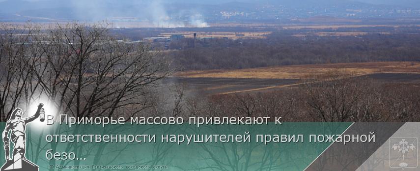 В Приморье массово привлекают к ответственности нарушителей правил пожарной безопасности в лесах, сообщает www.primorsky.ru