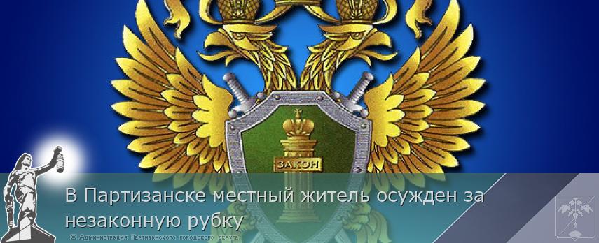 В Партизанске местный житель осужден за незаконную рубку | Администрация муниципального округа город Партизанск Приморского края Официальный сайт В Партизанске местный житель осужден за незаконную рубку | Администрация муниципального округа город Партизанск Приморского края Официальный сайт