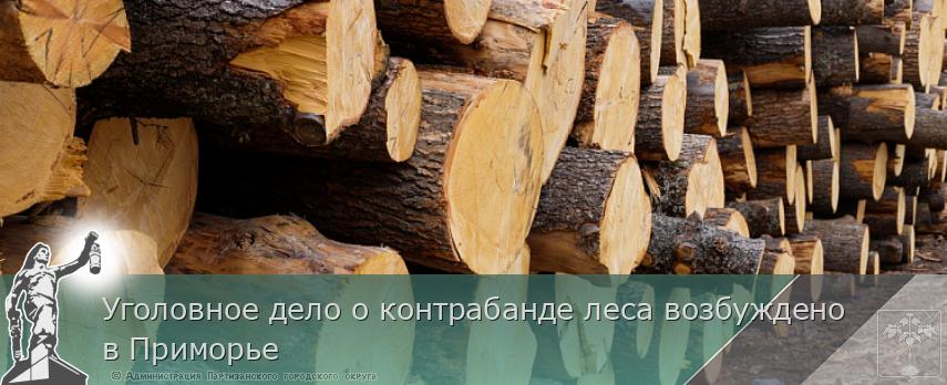 Уголовное дело о контрабанде леса возбуждено в Приморье | Администрация муниципального округа город Партизанск Приморского края Официальный сайт Уголовное дело о контрабанде леса возбуждено в Приморье | Администрация муниципального округа город Партизанск Приморского края Официальный сайт