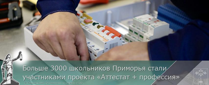 Больше 3000 школьников Приморья стали участниками проекта «Аттестат + профессия» | Администрация муниципального округа город Партизанск Приморского края Официальный сайт Больше 3000 школьников Приморья стали участниками проекта «Аттестат + профессия» | Администрация муниципального округа город Партизанск Приморского края Официальный сайт